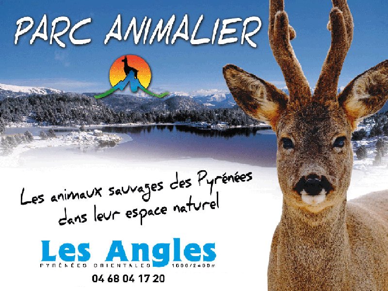 Parc animalier des Angles Isard